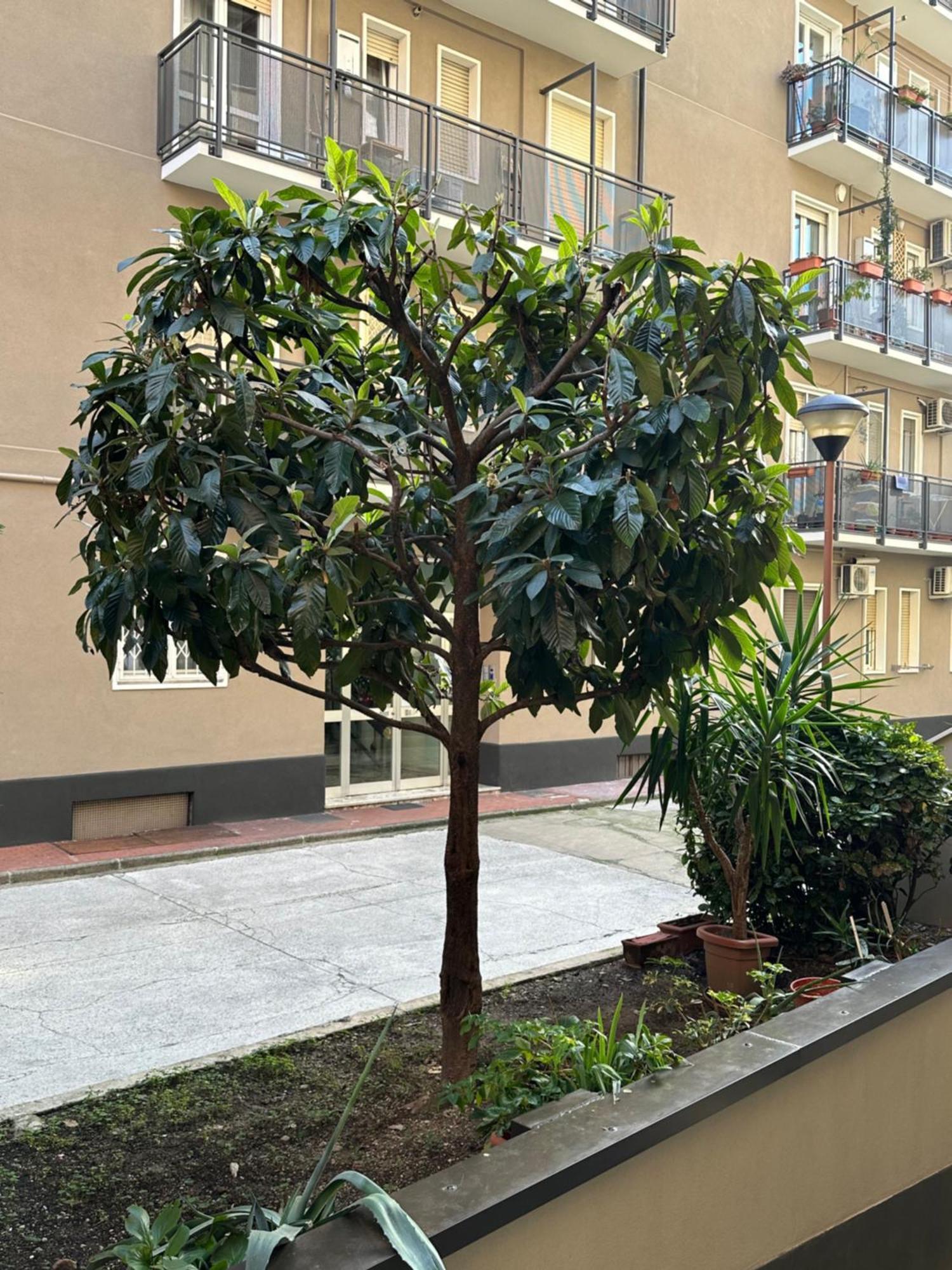 Nolo62, A Nifty Flat In Milan Apartment Exterior photo